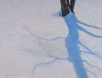 Long Shadows on February Snow