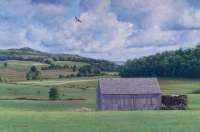 In All It's Summer Splendor