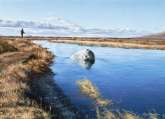 The Rock Hole