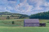 In All Its Summe Splendor