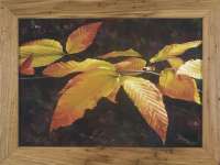 Fall And All Its Splendor