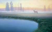 Yellowstone Mist