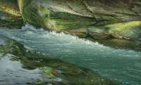 Mountain Summer Stream