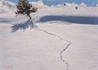Snow